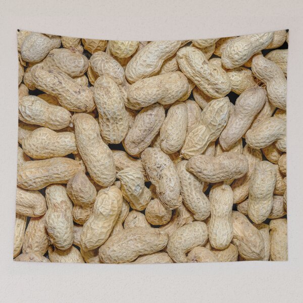 Item preview, Salted Raw Peanuts In Shells Food Photo Pattern  designed and sold by patternsoup.