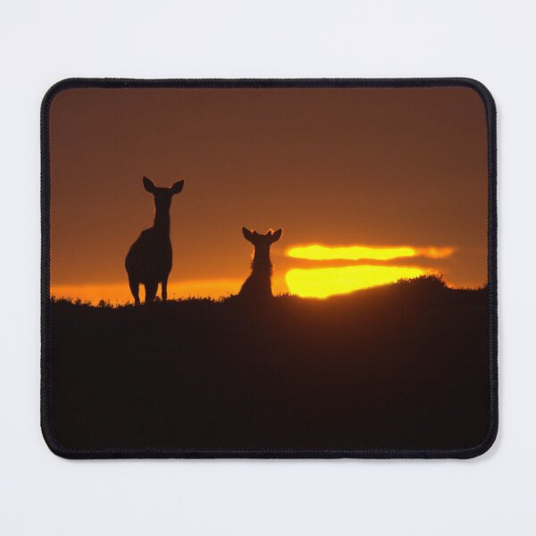Item preview, Red Deer and the Rising Sun designed and sold by Macrae images.