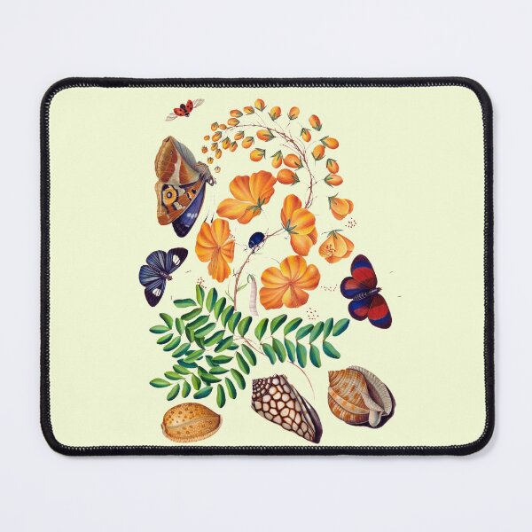 Item preview, Insects, Flowers and Shells by James Bolton designed and sold by ChunkyPotato.
