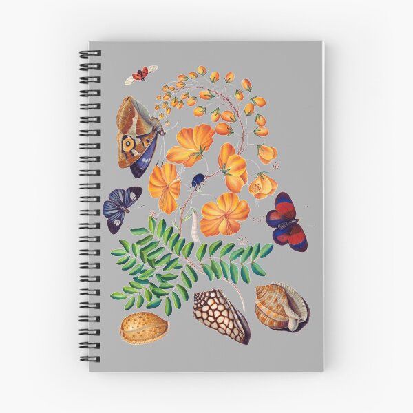 Item preview, Insects, Flowers and Shells by James Bolton designed and sold by ChunkyPotato.