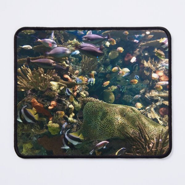 Item preview, Tropical Fish designed and sold by BeachBumFamily.