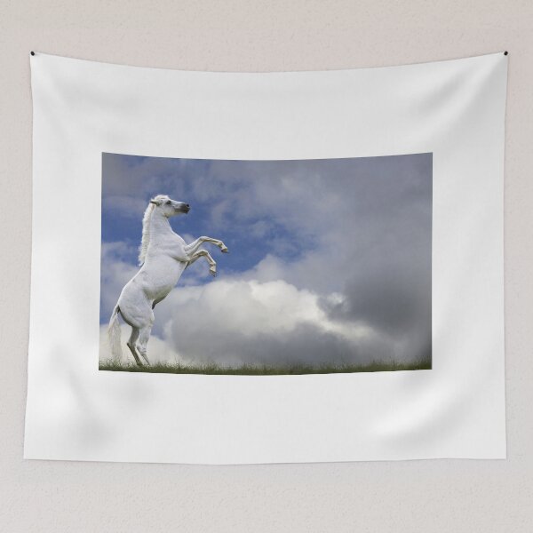 Item preview, Pure Blood Arabian Horse Rearing designed and sold by ScienceSource.