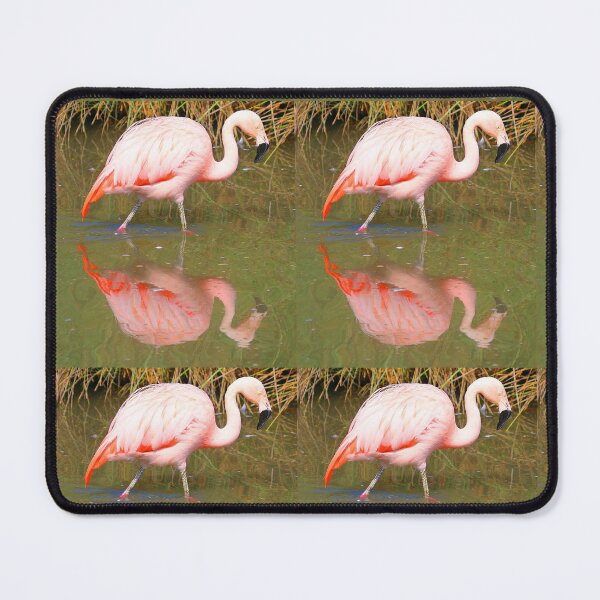Item preview, Flamingo Reflection designed and sold by Fearless-Fox.