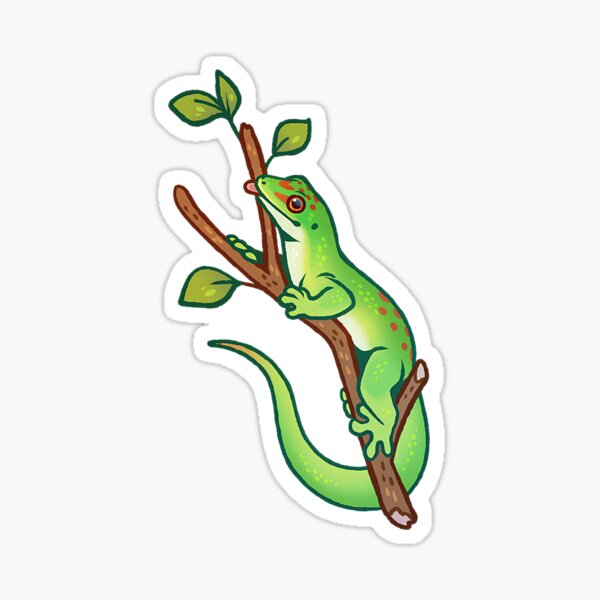 Madagascar giant day gecko Sticker
