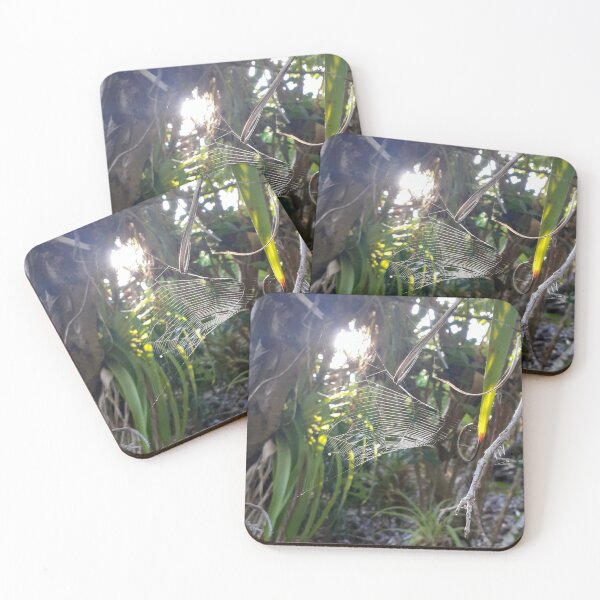Item preview, Natural Spiderweb designed and sold by shornaiter.