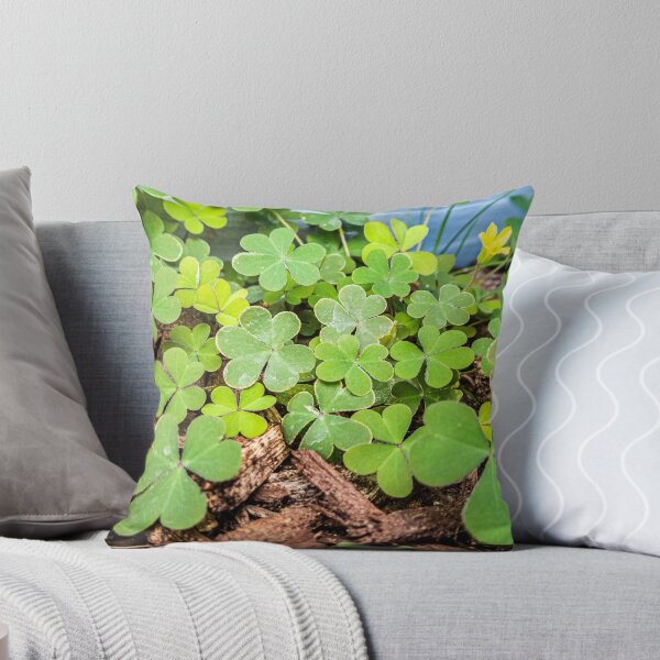 Item preview,  Macro of 3 Leaf Clovers designed and sold by KensLensDesigns.