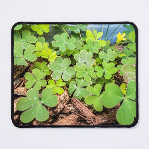 Item preview,  Macro of 3 Leaf Clovers designed and sold by KensLensDesigns.