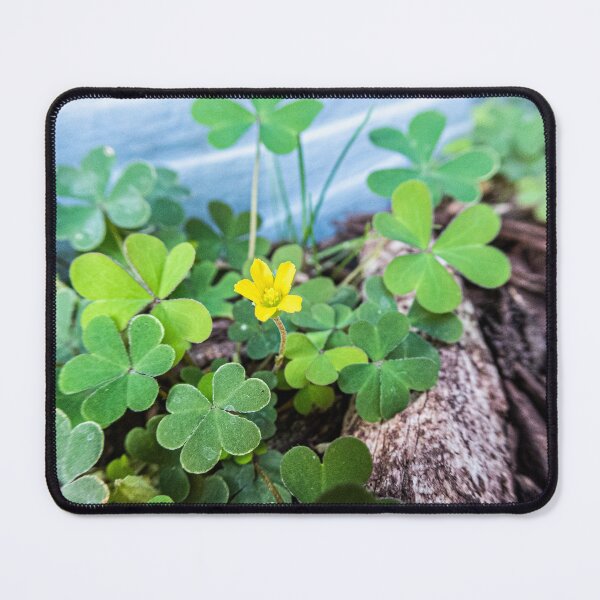 Item preview, Trout Lily & 3 Leaf Clovers designed and sold by KensLensDesigns.