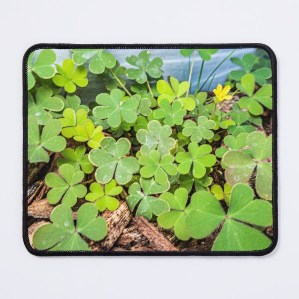 Item preview, 3 Leaf Clovers designed and sold by KensLensDesigns.