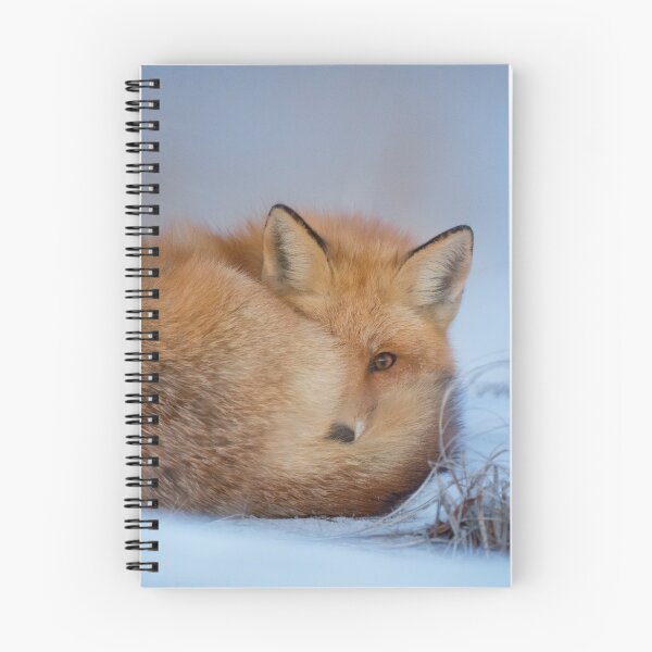 Item preview, Fox designed and sold by clthaisericardo.