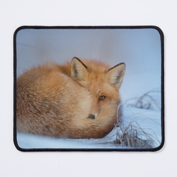 Item preview, Fox designed and sold by clthaisericardo.