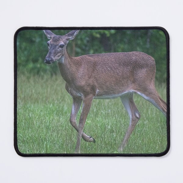 Item preview, White-tailed deer designed and sold by KensLensDesigns.
