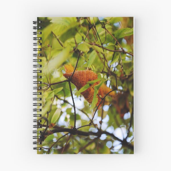 Item preview, A leaf passed in the fall. designed and sold by Tableaux51.