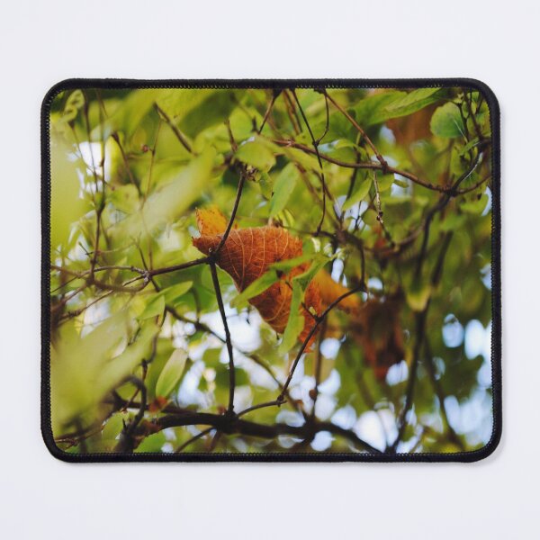 Item preview, A leaf passed in the fall. designed and sold by Tableaux51.
