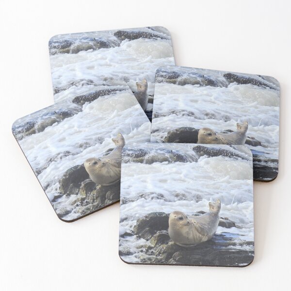 Item preview, Harbor seal, marine life, wildlife, Pacific Pup designed and sold by Sandra O'Toole.