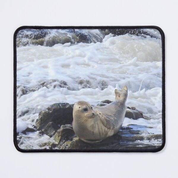 Item preview, Harbor seal, marine life, wildlife, Pacific Pup designed and sold by Sandra O'Toole.