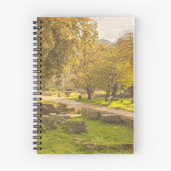 Item preview, Ancient Landscapes designed and sold by KensLensDesigns.