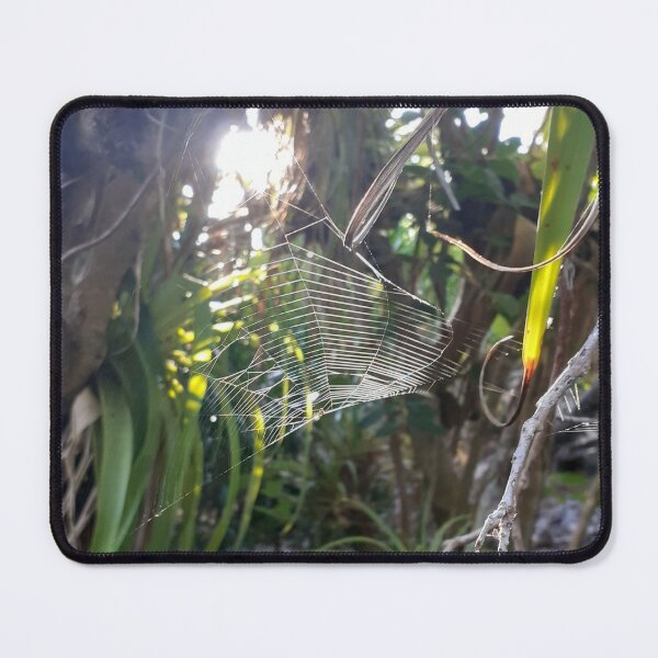 Item preview, Natural Spiderweb designed and sold by shornaiter.