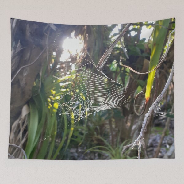 Item preview, Natural Spiderweb designed and sold by shornaiter.