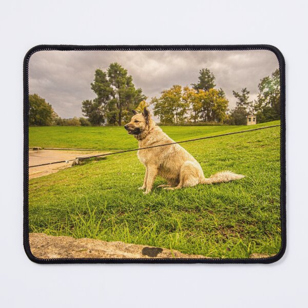 Item preview, Dog in Olympia designed and sold by KensLensDesigns.