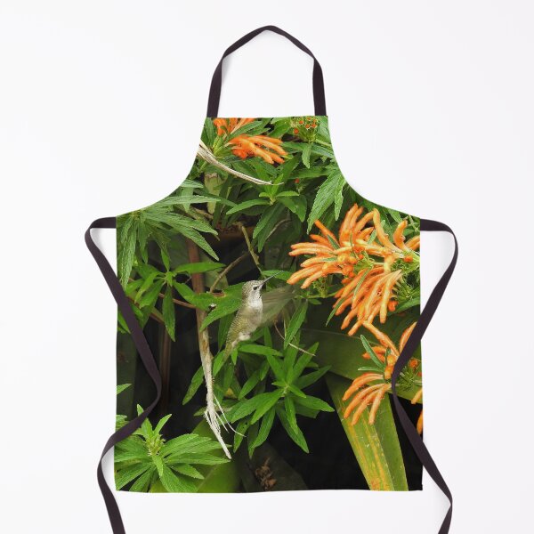 Item preview, Hummingbird, Wildlife, Nature, gifts designed and sold by Sandra O'Toole.