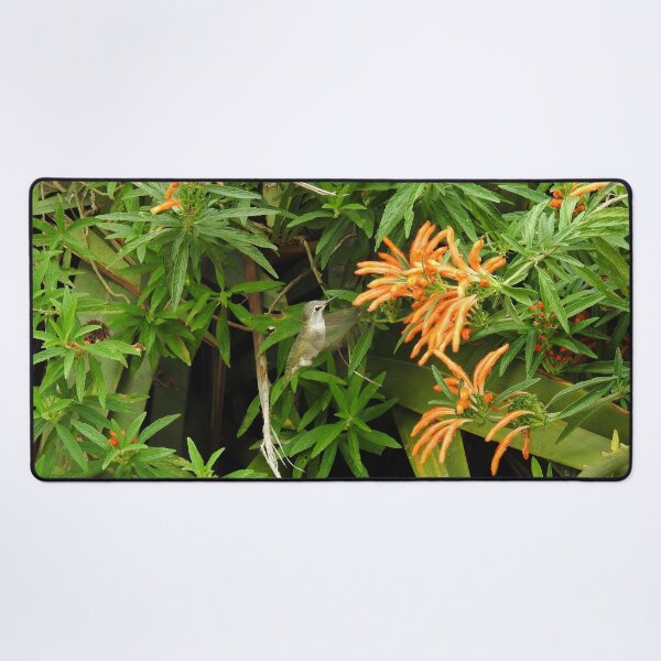 Item preview, Hummingbird, Wildlife, Nature, gifts designed and sold by Sandra O'Toole.