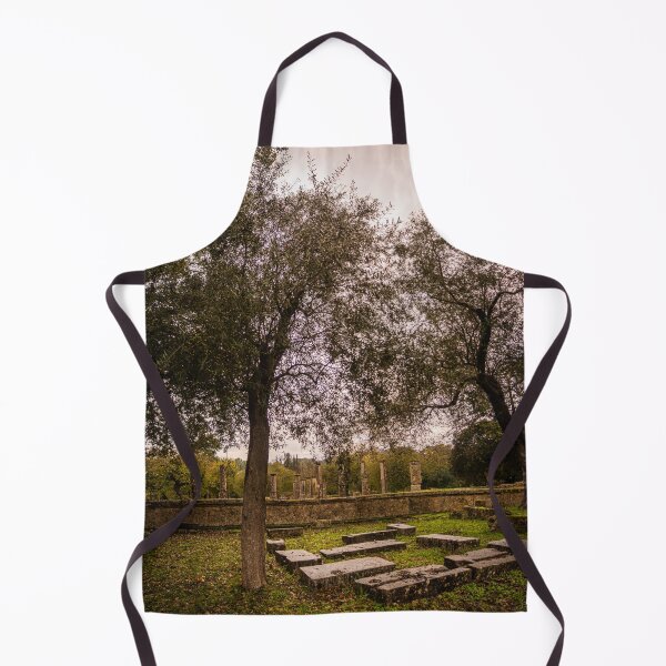 Item preview, Palaestra at Olympia Ruins designed and sold by KensLensDesigns.