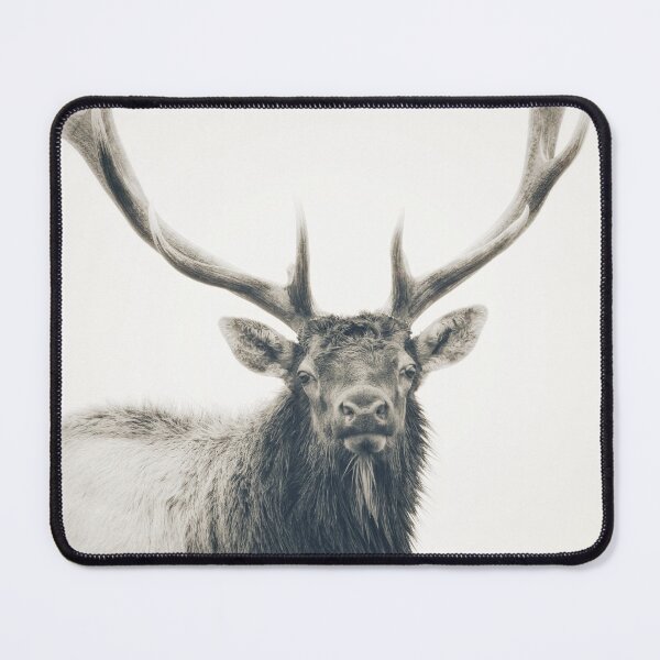 Item preview, Bull Elk, Eye to Eye designed and sold by mfsphotographs.