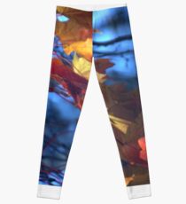 Blue Sky and Vibrant Leaves Leggings