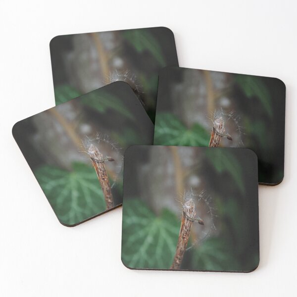 Item preview, Funny branch. designed and sold by Tableaux51.