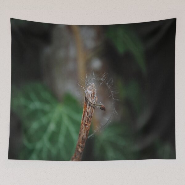 Item preview, Funny branch. designed and sold by Tableaux51.