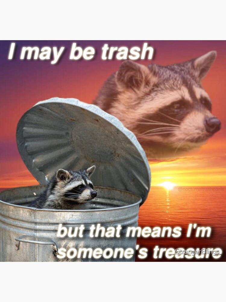 Trash Panda