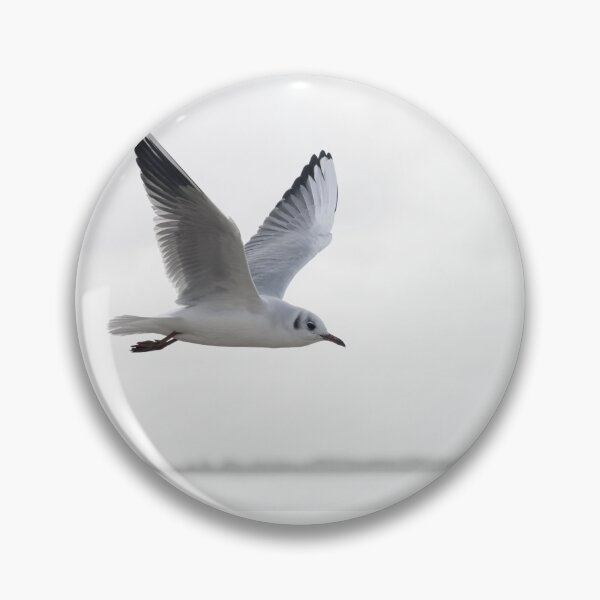 Item preview, a black-headed seagull in first-winter plumage designed and sold by Ronenvief.