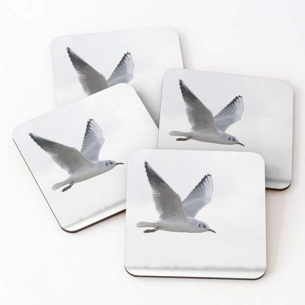 Item preview, a black-headed seagull in first-winter plumage designed and sold by Ronenvief.