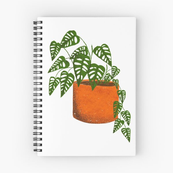 Item preview, Monstera adansonii designed and sold by Kimmygowland.