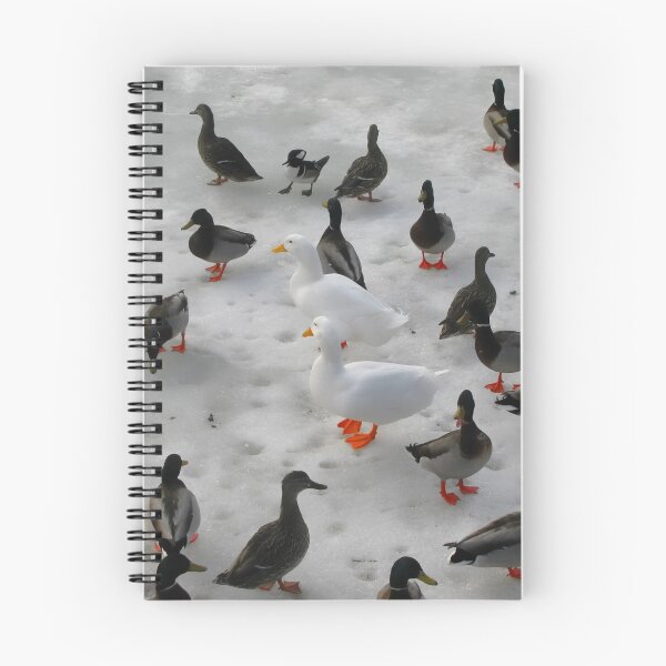 Item preview, Dare to be Different designed and sold by shutterbug2010.
