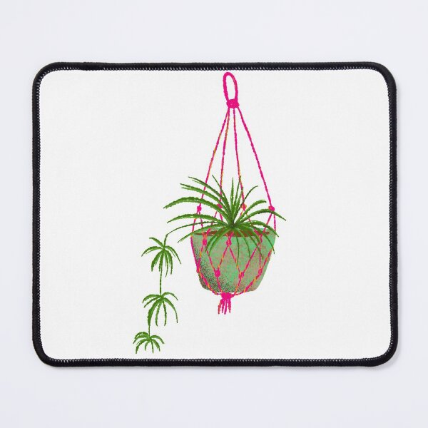 Item preview, Spider plant macrame designed and sold by Kimmygowland.