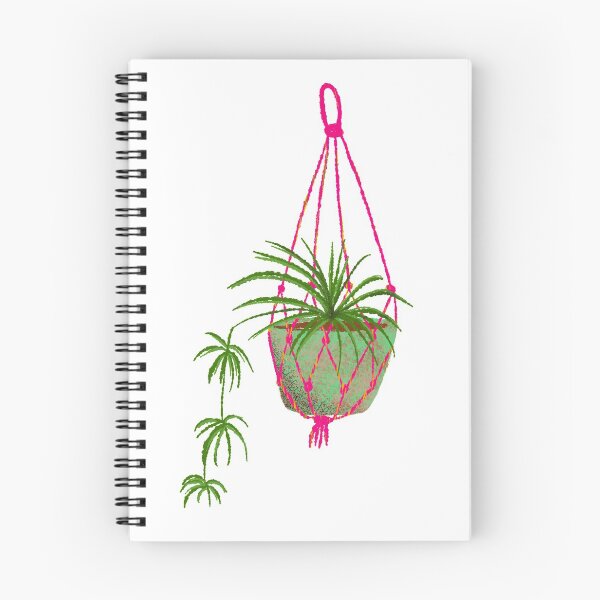Item preview, Spider plant macrame designed and sold by Kimmygowland.
