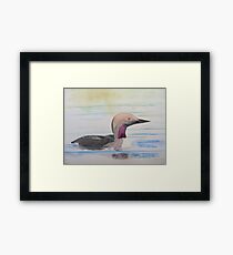 Black-throated Diver Framed Print