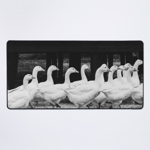 Item preview, Flock of white geese designed and sold by LorandQuest.