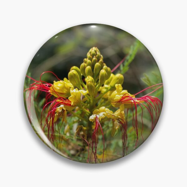 Item preview, Yellow and red flower of the bird of paradise designed and sold by lena-maximova.