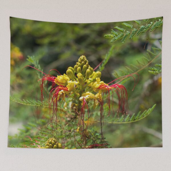 Item preview, Yellow and red flower of the bird of paradise designed and sold by lena-maximova.