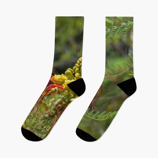 Item preview, Yellow and red flower of the bird of paradise designed and sold by lena-maximova.