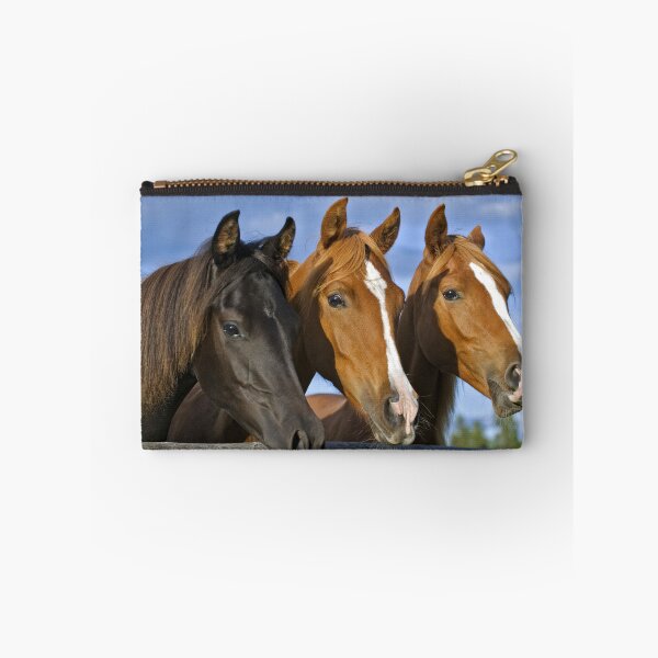 Item preview, Añales del caballo árabe designed and sold by ScienceSource.