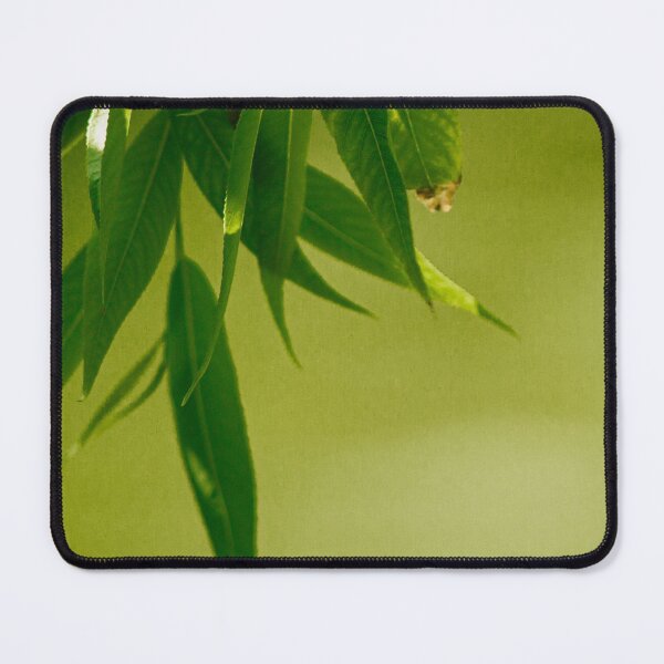 Item preview, Fresh green willow leaves designed and sold by LorandQuest.