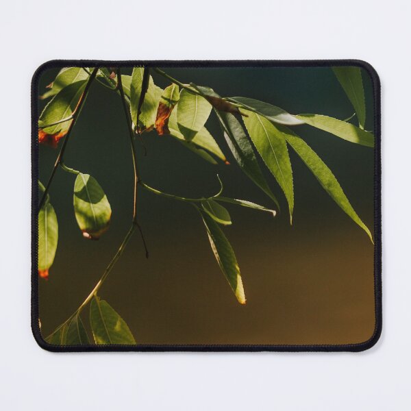 Item preview, Fresh green weeping willow leaves designed and sold by LorandQuest.