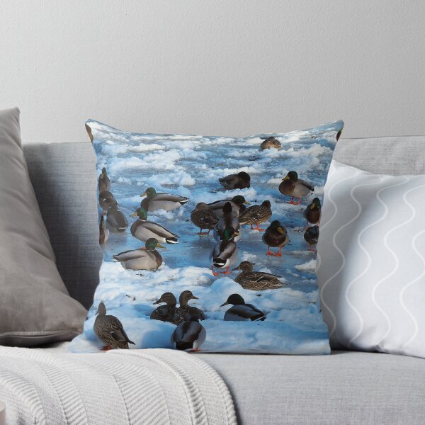Item preview, Mallard Ducks Sitting In The Snow designed and sold by BackyardBirder.