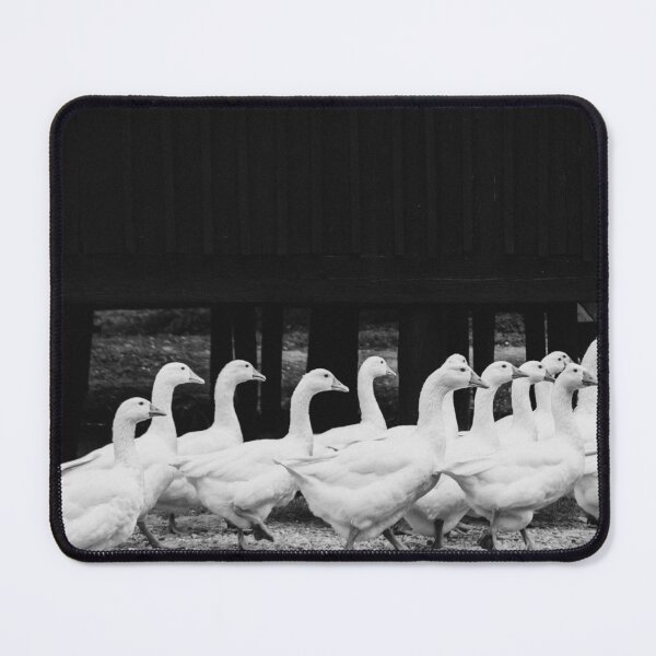 Item preview, Flock of white geese designed and sold by LorandQuest.