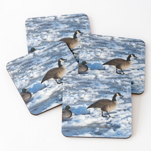 Item preview, Green Mallard Duck and Canada Goose Walking On The Snow - Wild Canada Goose Bird designed and sold by BackyardBirder.