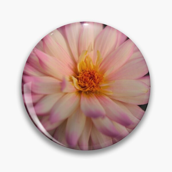 Item preview, Digital photography Close up of Dalia Flower designed and sold by SimonJohnson1.